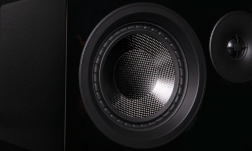 Image of the carbon fiber woofer on the Episode Home Theater speaker