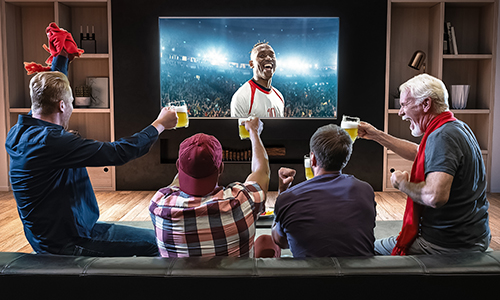 Men sitting around a TV displaying sports
