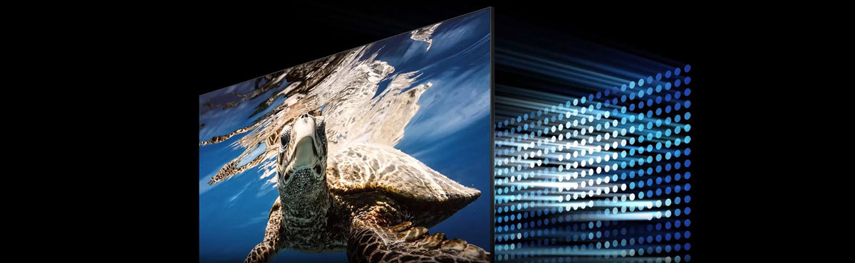 A QLED TV shows a turtle swimming. Behind the QLED screen are LEDs controlling the contrast level of the display