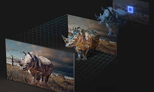 The 3 steps to projecting a life like rhinoceros is exhibited using Real Depth Enhancer technology.