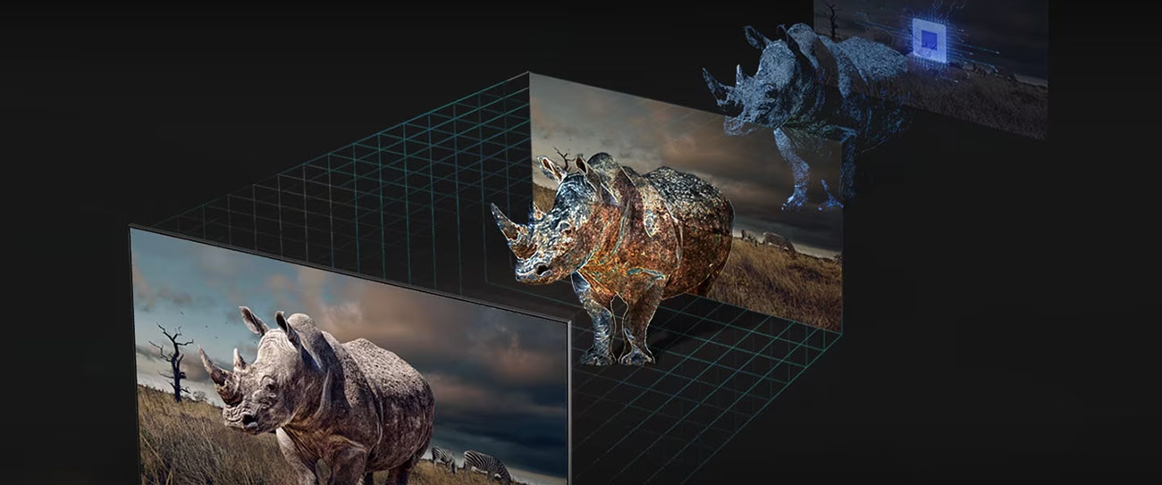 The 3 steps to projecting a life like rhinoceros is exhibited using Real Depth Enhancer technology.