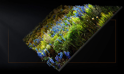 Colorful flowers are growing from a MICRO LED module to simulate authentic color representation.