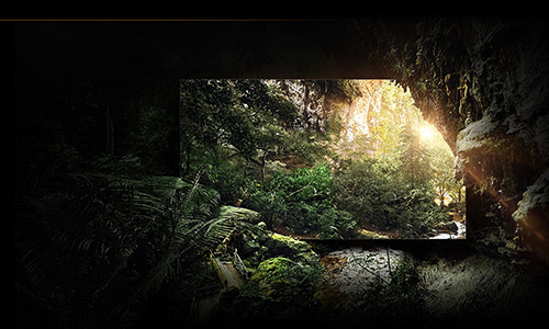 MICRO LED is placed inside a forest and showing a picture of a forest scene which looks indistinguishable from the forest itself.