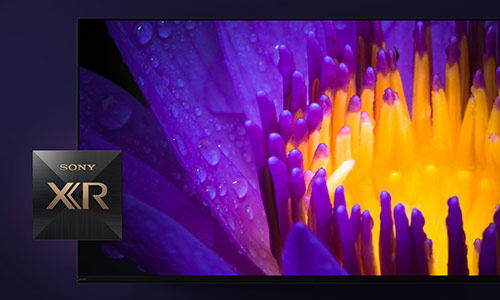 Beautiful OLED picture powered by our most powerful processor